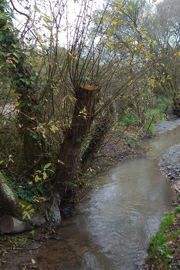 Site naturel