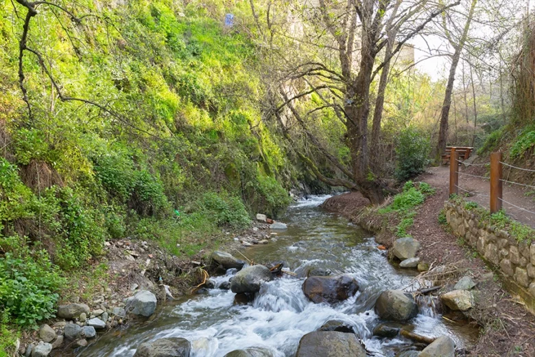 Renaturation de rivière